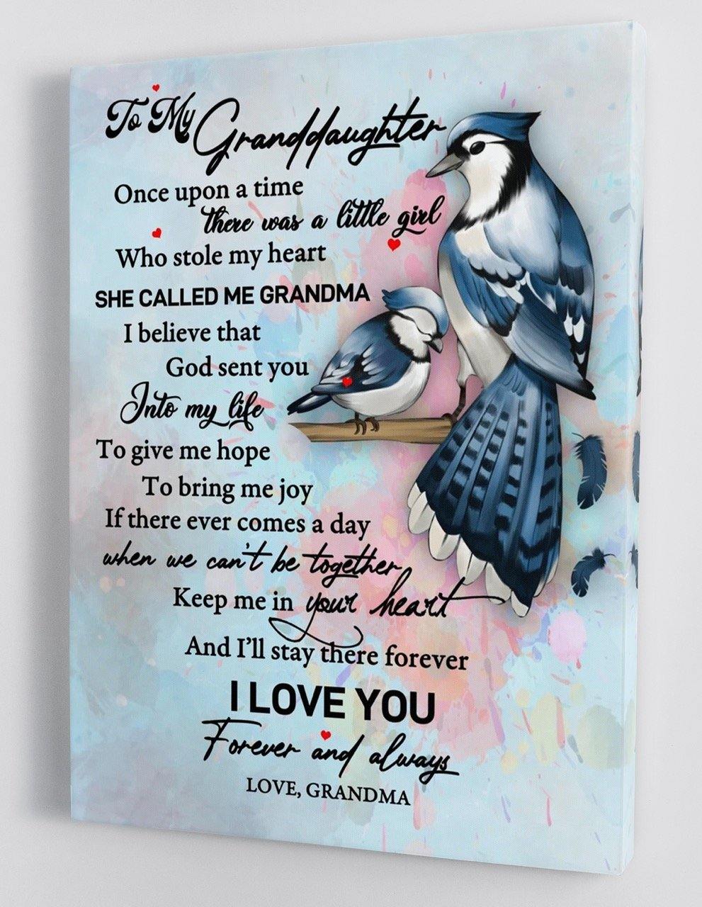 To My Granddaughter - From Grandma - Framed Canvas Gift GMD036 - DivesArt LLC